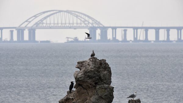 Вид на строящийся Крымский мост. Архивное фото