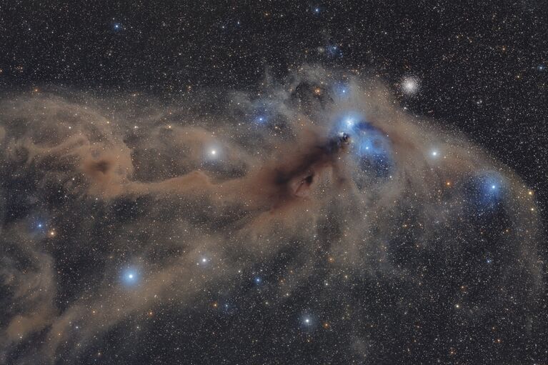 Работа фотографа Mario Cogo Corona Australis Dust Complex. Конкурс Insight Astronomy Photographer of the year 2018