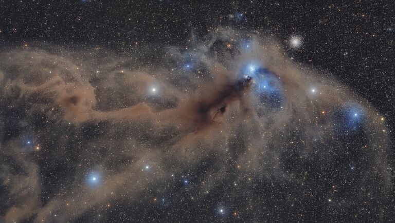 Работа фотографа Mario Cogo Corona Australis Dust Complex. Конкурс Insight Astronomy Photographer of the year 2018