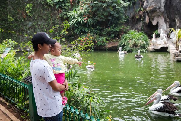 Посетители смотрят на пеликанов в зоопарке Рагунан в Джакарте