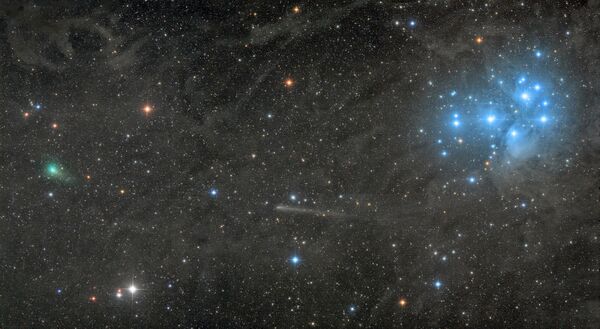 Работа фотографа Damian Peach Two comets with the Pleiades. Конкурс Insight Astronomy Photographer of the year 2018