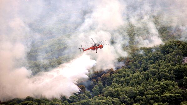 Тушение лесного пожара в Греции. Архивное фото