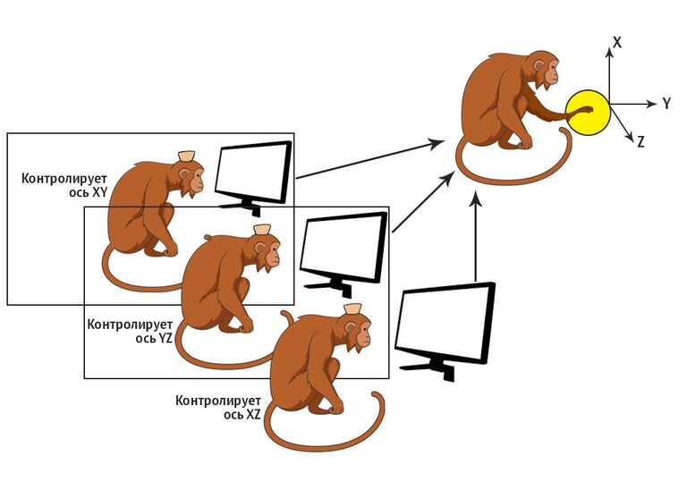 Эксперимент с обезьянами Эксперимент с обезьянами