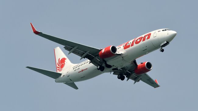 Самолет Boeing 737-800 авиакомпании Lion Air. Архивное фото