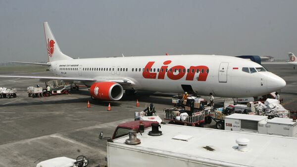 Самолет компании Lion Air в Международном аэропорту имени Джуанды