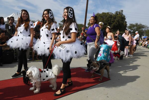 Ежегодный парад собак в канун Хеллоуина в Лонг-Бич, Калифорния. 28 октября 2018 года