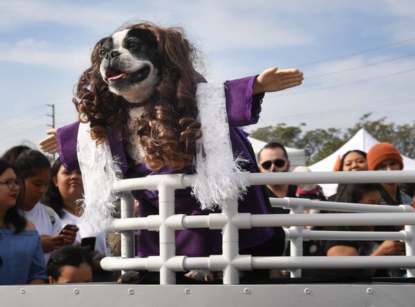 Собака в костюме на ежегодном параде в канун Хеллоуина в Лонг-Бич, Калифорния. 28 октября 2018 года