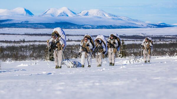Норвежские военные во время совместных учений НАТО. Архивное фото