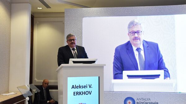 Посол России в Турции Алексей Ерхов