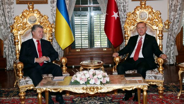 Президент Украины Петр Порошенко и президент Турции Реджеп Тайип Эрдоган во время встречи в Стамбуле. 3 ноября 2018