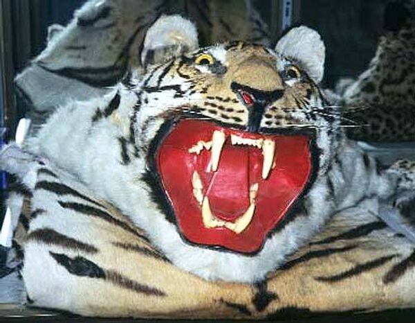 Шкура тигра