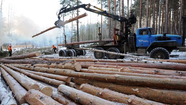 Заготовка древесины в Челябинской области