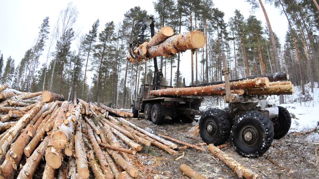 Заготовка древесины в Челябинской области