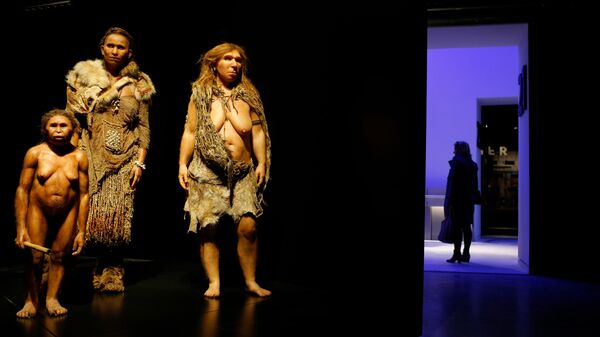Фигуры человека флоресского, Homo sapiens и неандертальца