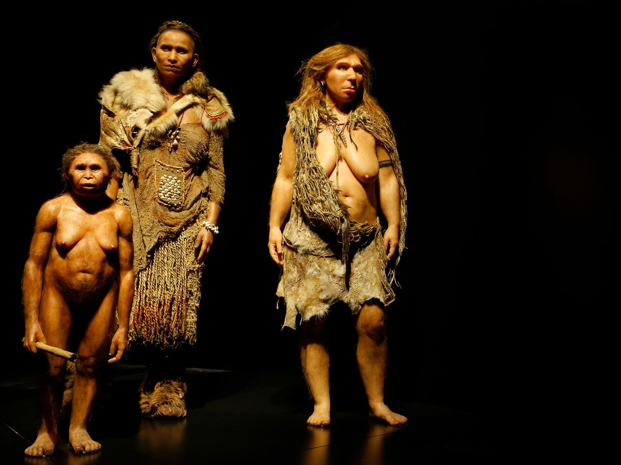 Фигуры человека флоресского, Homo sapiens и неандертальца.