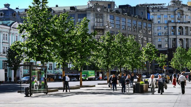 Липы на Тверской улице в Москве