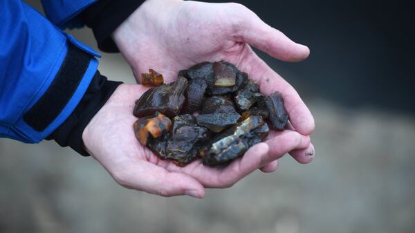 Янтарь, обнаруженный сотрудниками УБОП во время рейда по выявлению незаконной добычи янтаря в Калининградской области