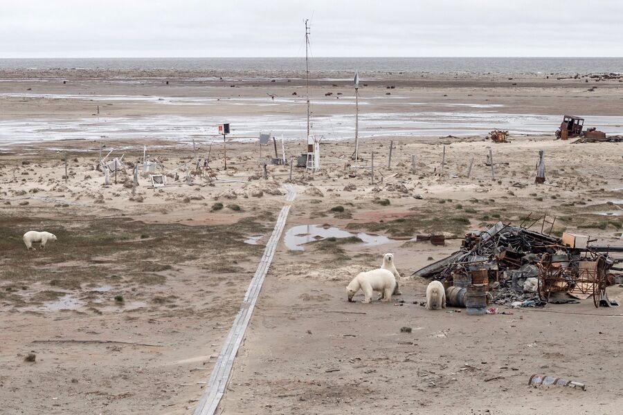 Встал, умылся, убери Арктику: зачем волонтеры очищают необитаемые острова