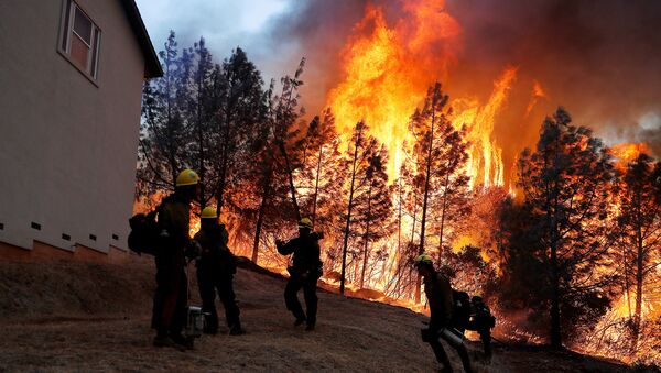 Лесной пожар в Калифорнии. 8 ноября 2018