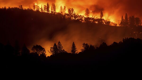 Лесные пожары в Калифорнии, США