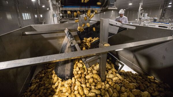 Картофель на технологической линии на заводе по переработке и производству замороженного картофеля