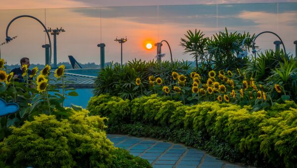 Подсолнечные сады в международном аэропорту Чанги в Сингапуре