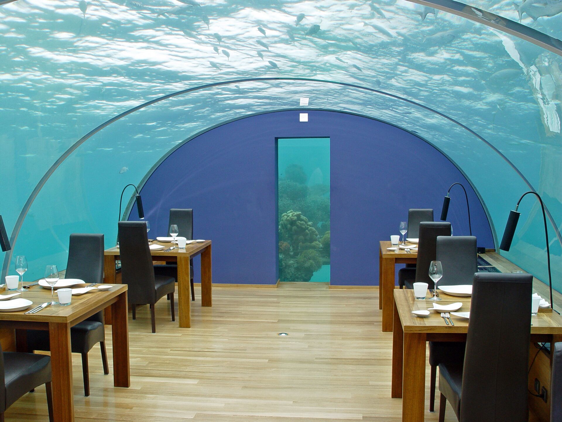 Ресторан Ithaa Undersea Restaurant, Мальдивы - РИА Новости, 1920, 09.09.2020