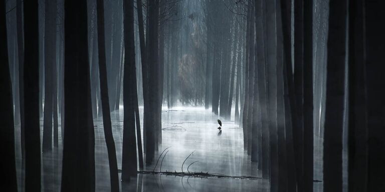 Работа участника конкурса EPSON Pano Awards 2018. Mariano Belmar Torrecilla