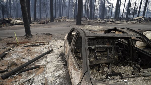 Последствия лесного пожара в городе Парадайз в штате Калифорния
