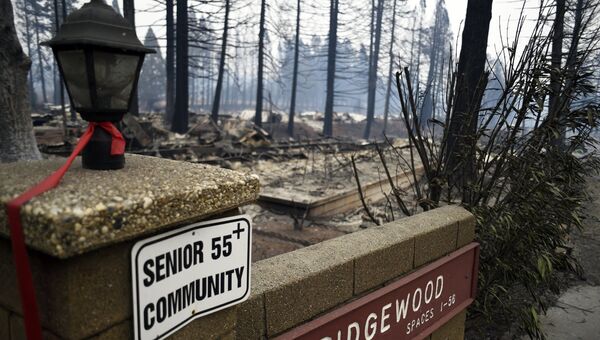 Последствия лесного пожара в городе Парадайз в штате Калифорния. Архивное фото