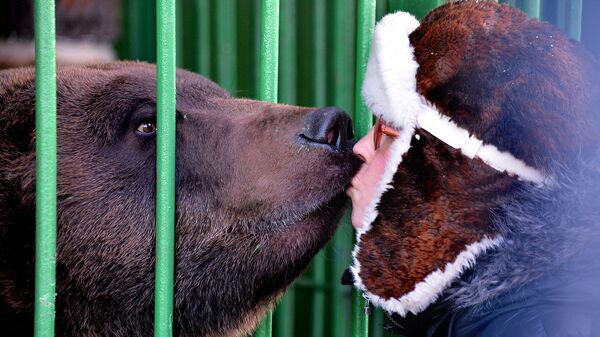 Ехали медведи на велосипеде: как Хранитель леса стал символом России