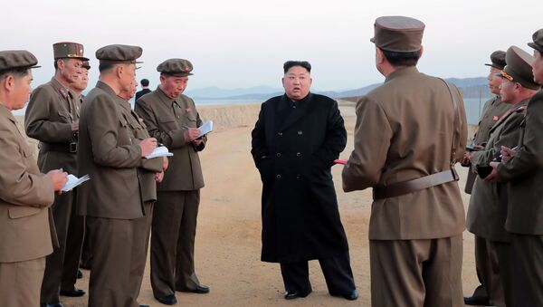 Лидер КНДР Ким Чен Ын во время испытаний нового тактического оружия. Архивное фото