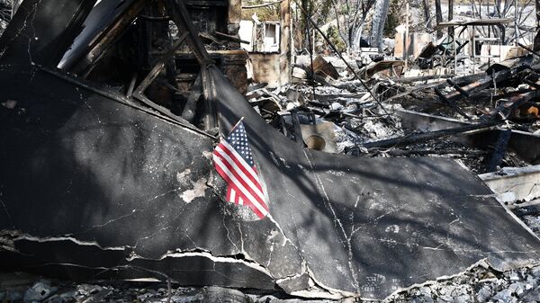 Здание, сгоревшее в результате лесных пожаров, в городе Малибу в штате Калифорния