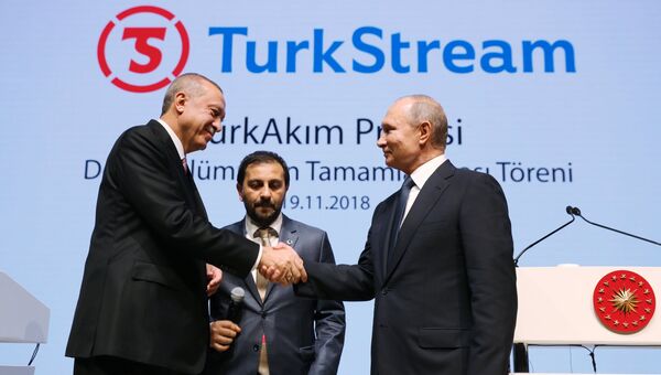 Президент России Владимир Путин и президент Турции Реджеп Тайип Эрдоган на церемонии завершения строительства морского участка газопровода Турецкий поток