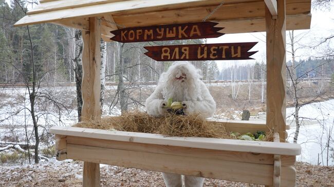 Кормушка для йети в Нязепетровском районе Челябинской области