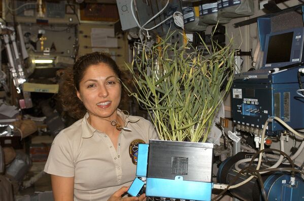Иранский астронавт Ануше Ансари на борту МКС
