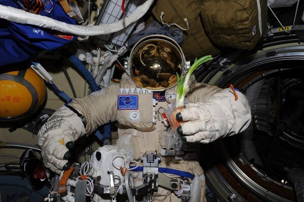 Лук на борту МКС. 2014 год