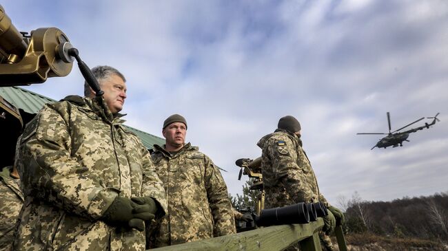 Президент Украины Петр Порошенко. Архивное фото