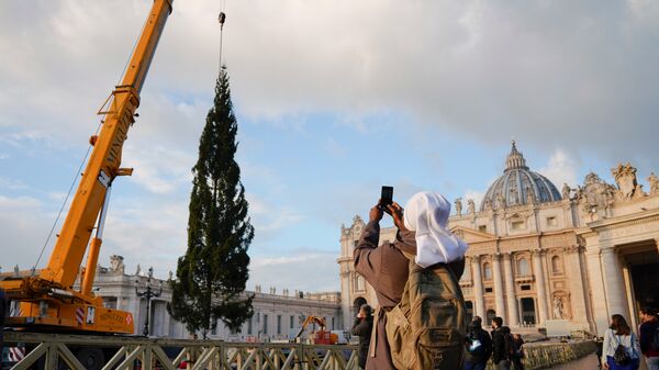 Рождественская ель на площади Святого Петра в Ватикане. 22 ноября 2018