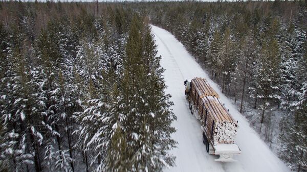 Лесовоз на лесной дороге в Богучанском районе Красноярского края