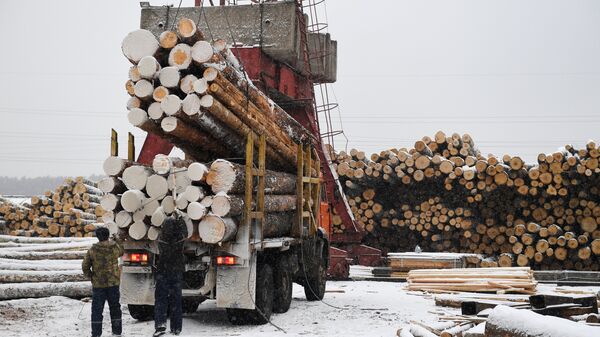 Разгрузка лесовоза на частном лесоперерабатывающем предприятии в городе Канск Красноярского края