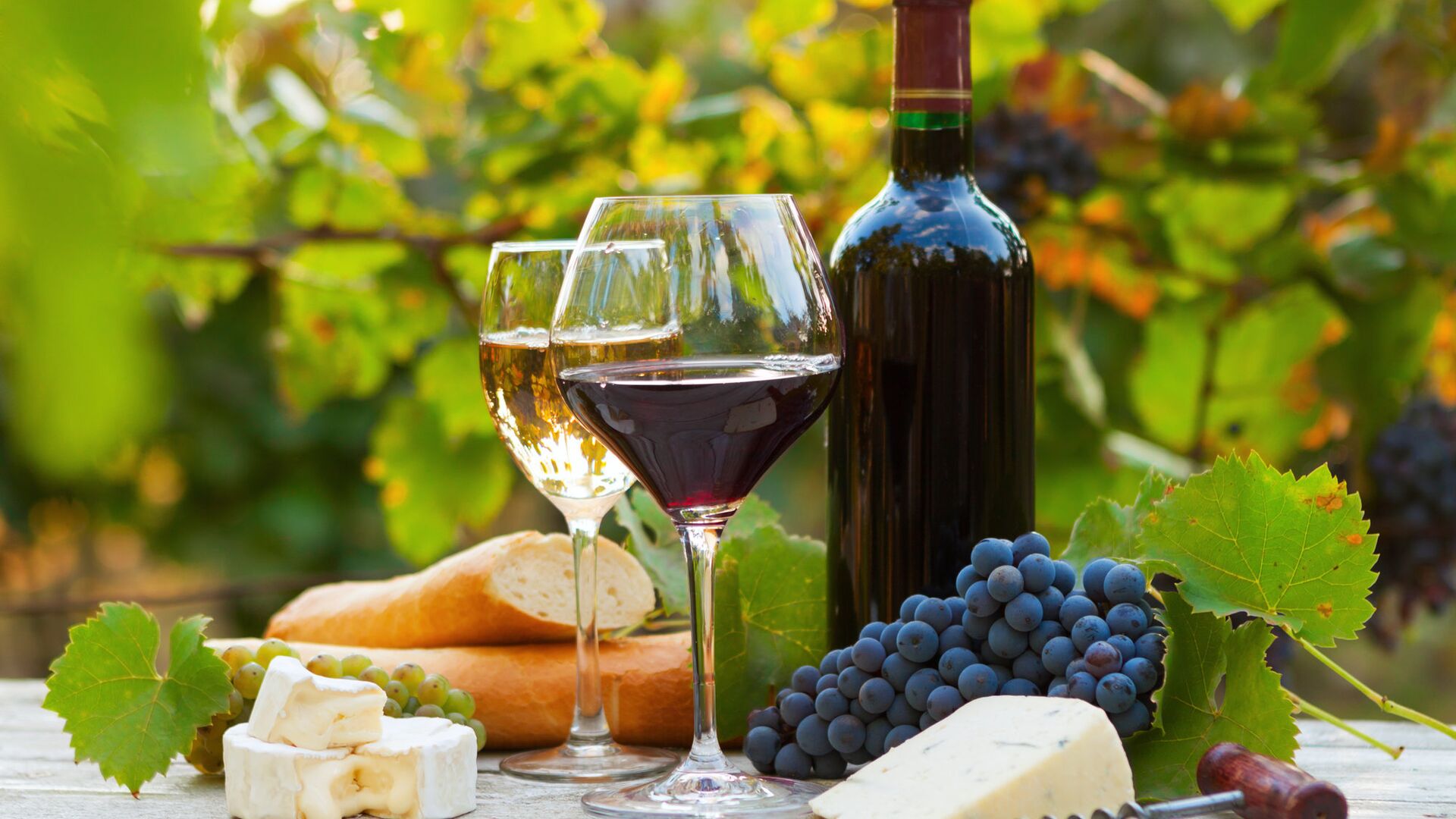 В Союзе виноградарей исключили дефицит вина в России