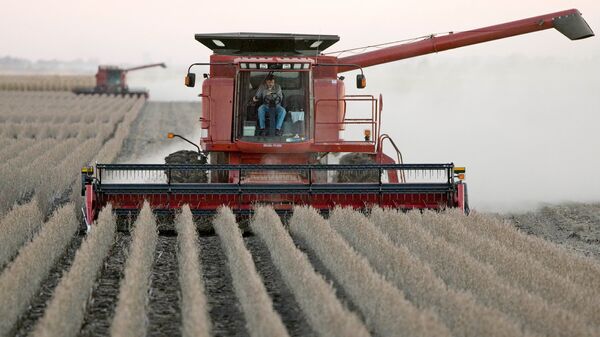 Американские фермеры собирают урожай соевых бобов в штате Айова