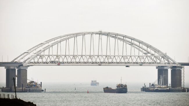 Суда проходят под аркой Крымского моста после возобновления судоходства в Керченском проливе. 26 ноября 2015