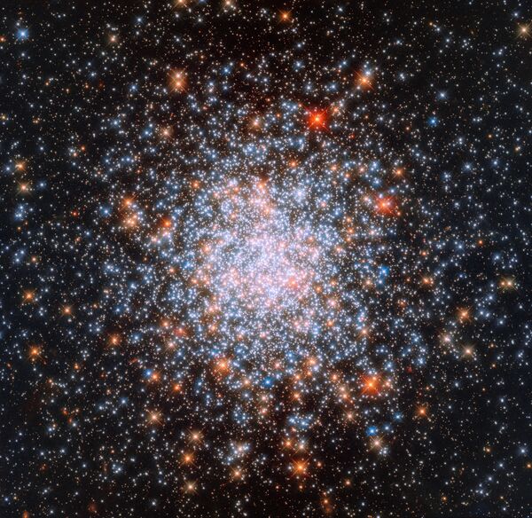 Рассеянное скопление NGC 1866, которое находится в Большом Магеллановом Облаке 