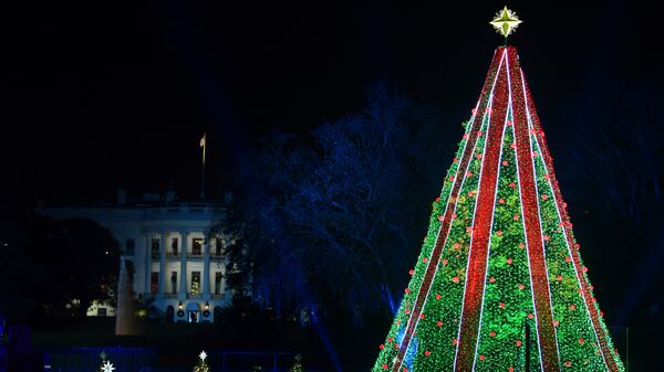 Главная рождественская ель США в парке у Белого дома в Вашингтоне