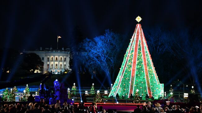 Главная рождественская ель США в парке у Белого дома в Вашингтоне