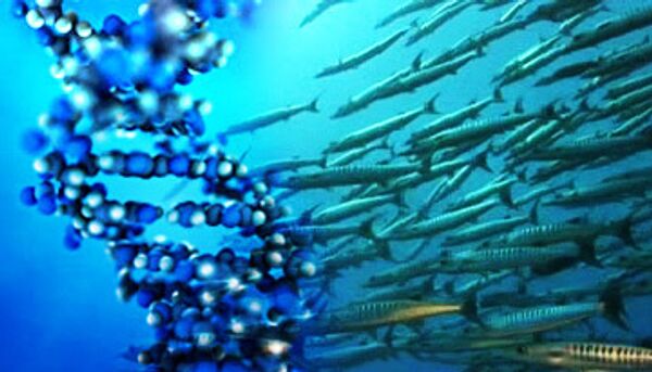 Ученые обнаружили гены диабета у рыб и насекомых