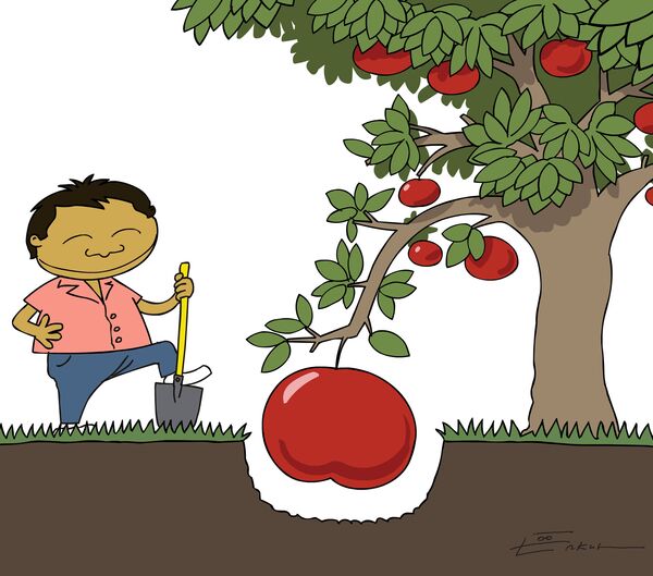 Яблоко весом более 600 граммов продано на Фестивале яблок в Пекине за 69 тысяч юаней, что эквивалентно 10,2 тысячи долларов