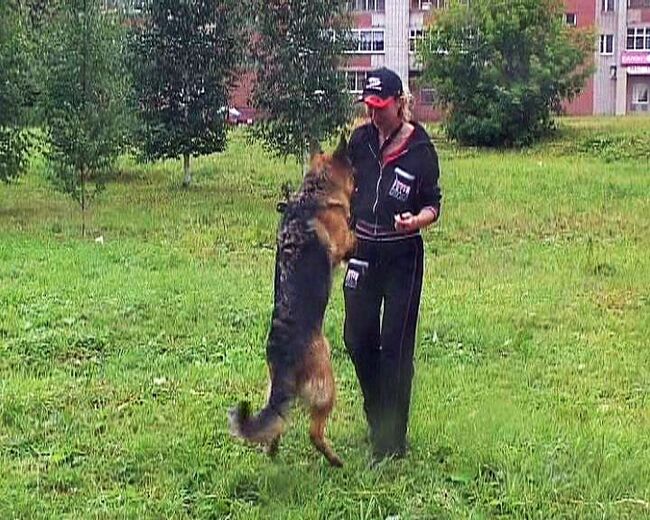 Секреты собаководов: хочешь научить собаку танцевать - танцуй сам